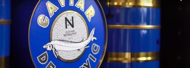 caviar de neuvic ecole de commerce bordeaux