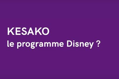 programme disney ecole commerce bordeaux