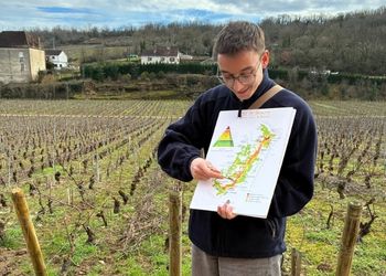 M1 Wine & Spirits International Management : immersion au cœur du vignoble bourguignon