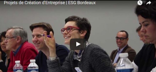 ecole commerce montpellier
