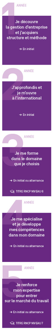 Schéma d'études