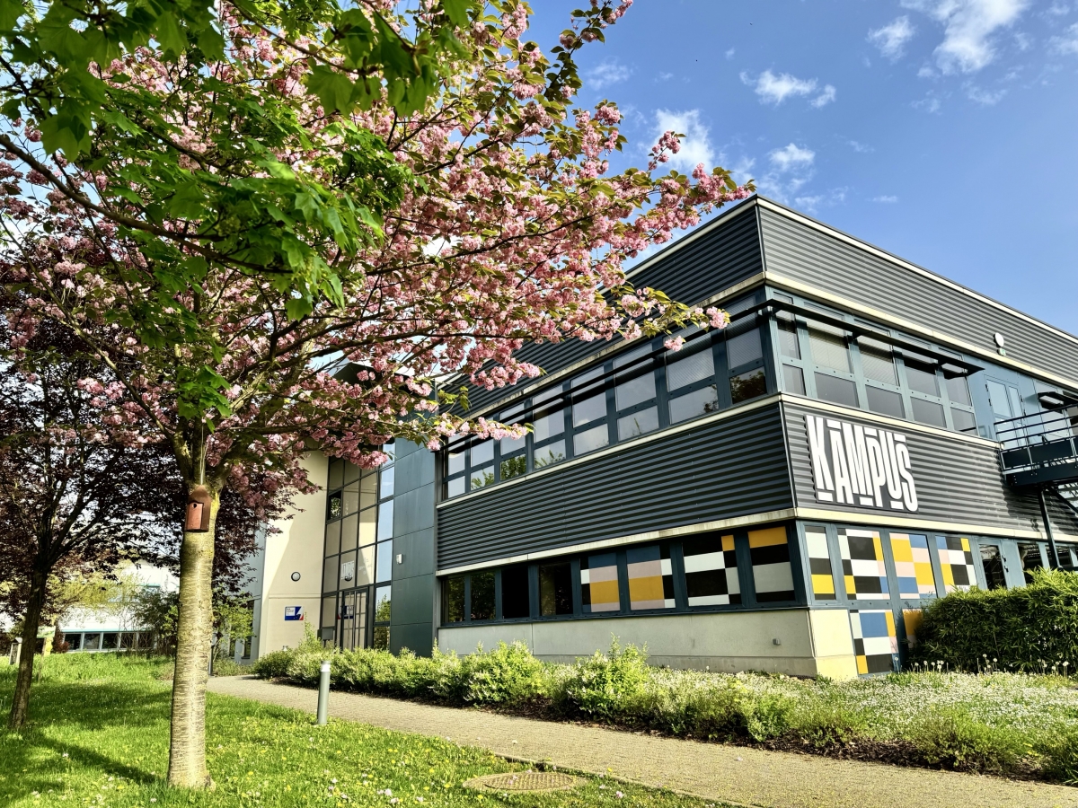 kampus kampus